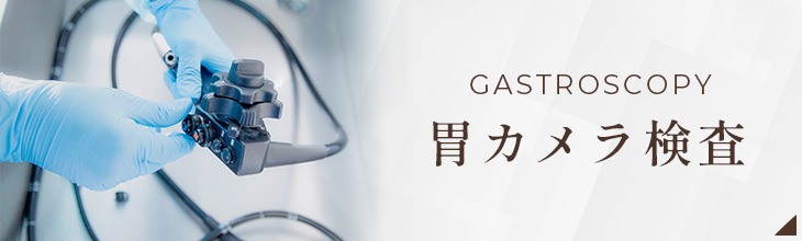 胃カメラ検査