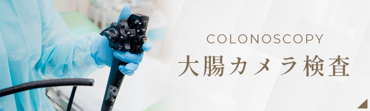 大腸カメラ検査